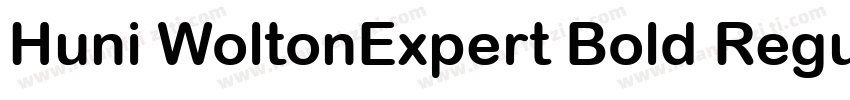 Huni WoltonExpert Bold Regular字体转换
